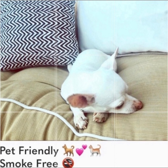 Last Tango 💃🏻 NWOT Ruched 3/4 Sleeve Seamless Black Top Size S/M - Picture 6 of 12